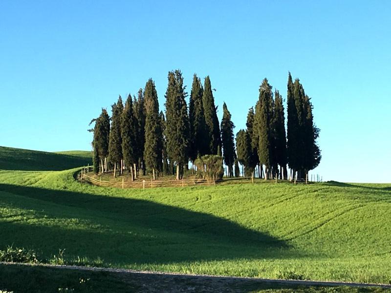 Camera La Margherita San Quirico dʼOrcia Buitenkant foto